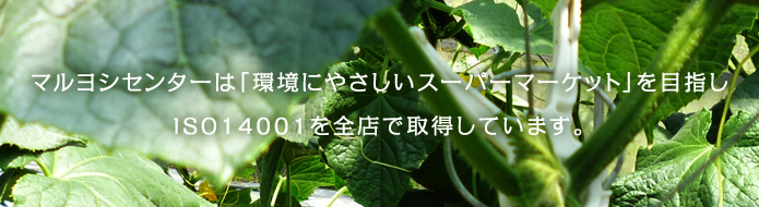 マルヨシセンターは「環境にやさしいスーパーマーケット」を目指しISO14001を全店で取得しています。