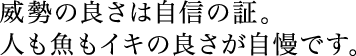 威勢の良さは自信の証。 人も魚もイキの良さが自慢です。