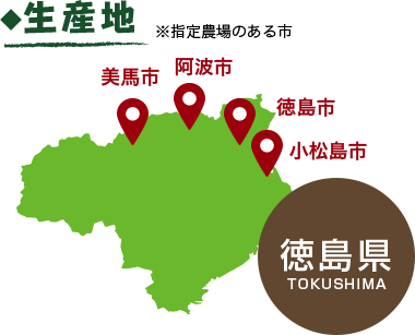 生産地 徳島県 美馬市 阿波市 徳島市 小松島市